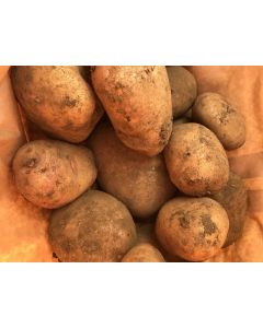 Picasso Potatoes 10kg